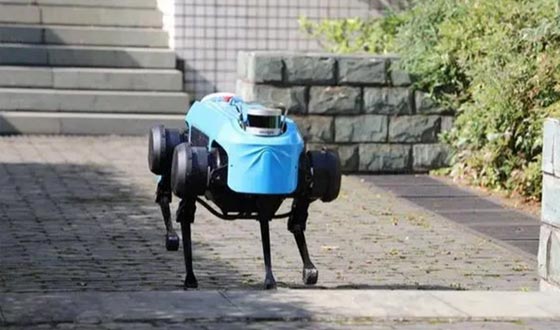 The first domestic quadruped robot with stair climbing, autonomous navigation, and intelligent interaction.